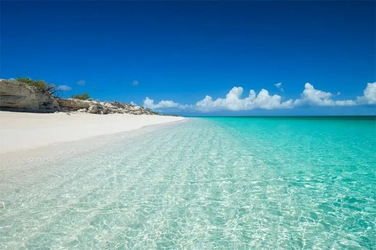 The Unique Pink Sands Beach in Harbour Island, the Bahamas Pink sand beach, Harb