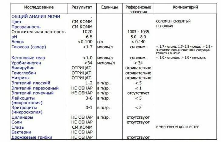 Что значит бактерии в моче у мужчин. Анализ мочи расшифровка у детей слизь. Исследование мочи норма слизь. Слизь в клиническом анализе мочи норма. Анализ мочи расшифровка у мужчин слизь.