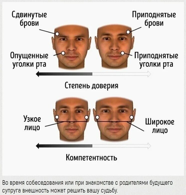 Что можно знать о человеке. Темперамент по чертам лица. Хитрые черты лица. Черты лица по что это такое. Распознавание характера по чертам лица.