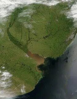 Устье реки парана