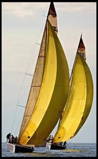Golden sails