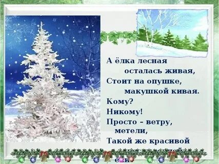 Стихи и песни о ели