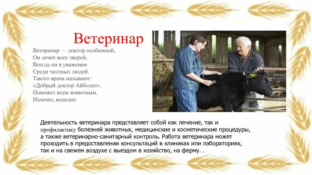 Ветеринар доклад. Профессия ветеринар в сельском хозяйстве. Профессии сельского хозяйства. Сельская профессия ветеринар. Профессии животноводства.