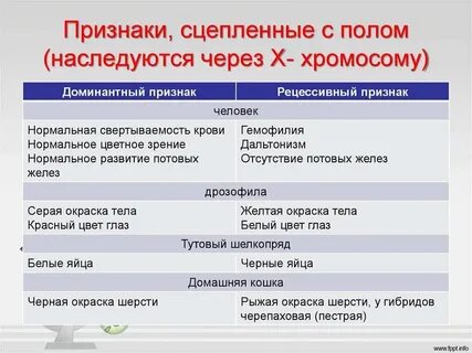 Выявление сцепленности признака с полом у человека