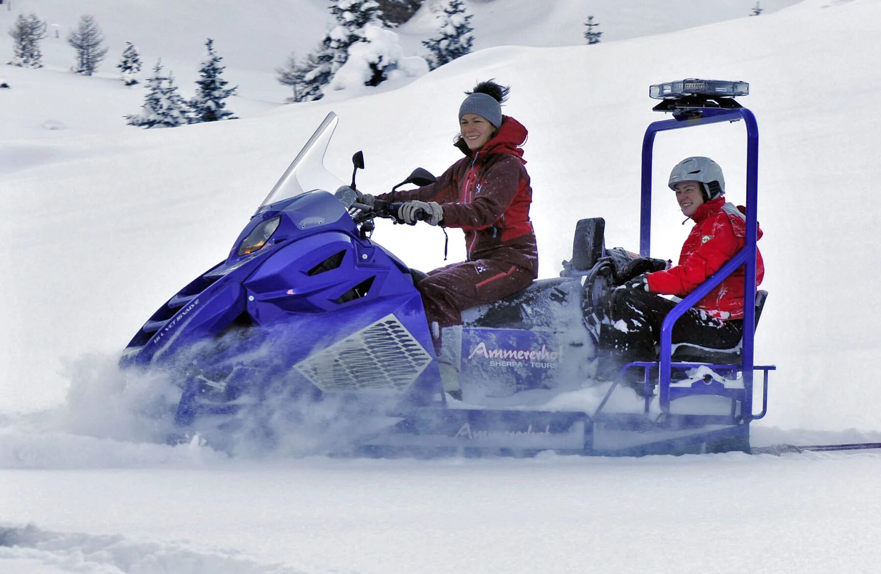 Купить снегоход альпина 2. Снегоход Alpina Sherpa. Снегоход Alpina Sherpa 4-stroke. Снегоход Alpina snowmobiles. Снегоход BMW Альпина.