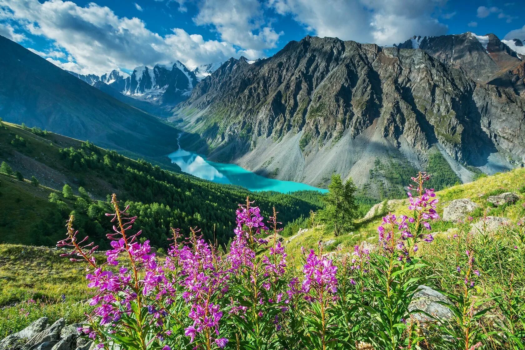 Горно алтайск июль. Алтай горный Алтай. Шавлинские озера. Лето в горах Алтая.