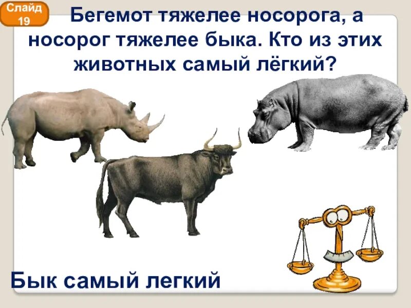 Интересные факты о бегемотах. Бегемот составить предложение со словом. Бегемот описание. Бегемот синоним. Разница между бегемотом и гиппопотамом.