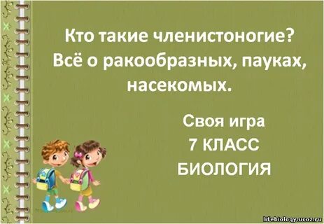 Презентация игра по биологии 8 класс