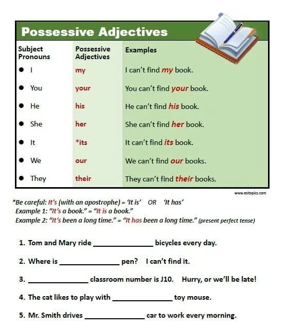 Possessive adjectives предложения. Possessive adjectives примеры. Possessive adjectives. Possessive adjectives and pronouns. Possessive pronouns possessive adjectives правило.