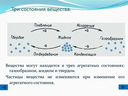 Дерево агрегатное состояние