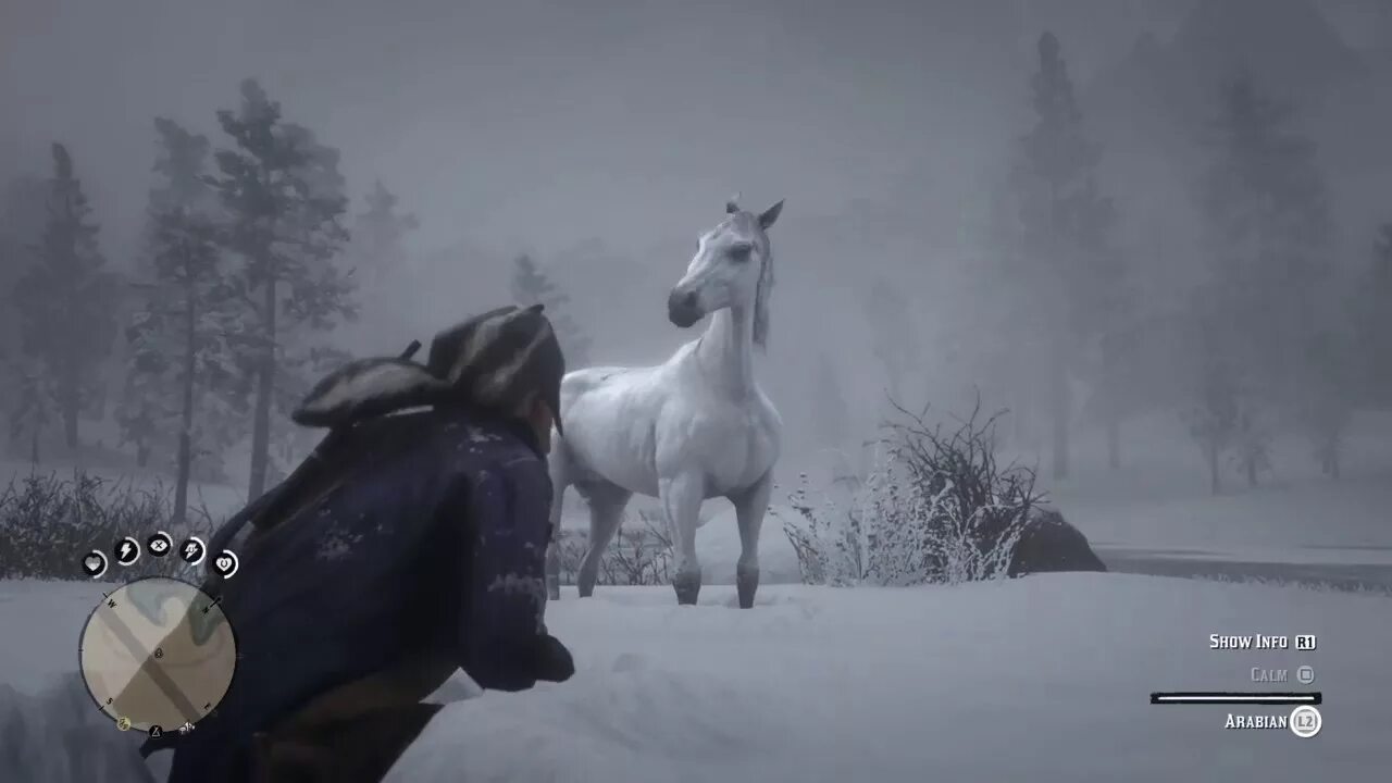 Rdr2 Arabian White Horse. Red Dead Redemption 2 Нокота. Белая арабская лошадь rdr 2. Red Dead Redemption 2 Arabian Horse.