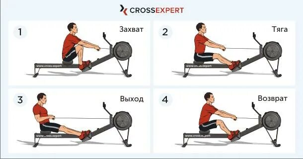 Тренажер гребля как правильно