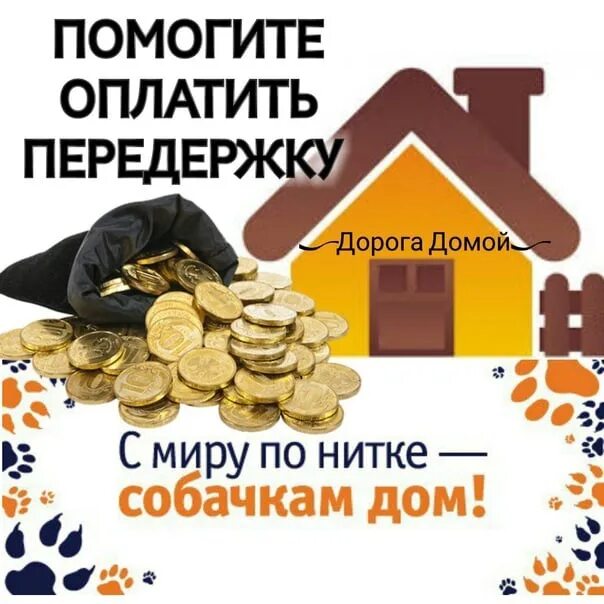 Поможешь оплатить. Помогите в оплате передержки. Помогите погасить долг в клинике. Помогите оплатить операцию. Помогите оплатить долг в клинике.