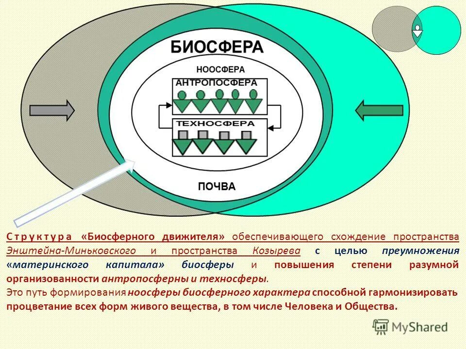 техносфера ноосфера