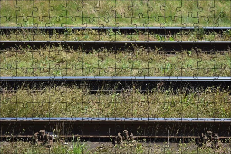 Рельсы в траве. Трава железная дорога. Трава железная дорога. Трава железная дорога. Распыление трав жд.
