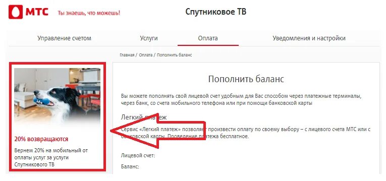 Личный кабинет спутникова телефона. Спутниковое Телевидение МТС личный кабинет. МТС ТВ спутниковое Телевидение личный кабинет. Лицевой счет МТС спутниковое ТВ. МТС личный кабинет.