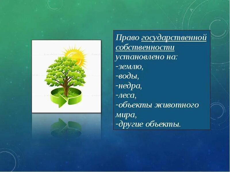 Право собственности на природные ресурсы являются. Собственность на природные ресурсы. Право собственности на природные ресурсы. Виды собственности в экологическом праве.