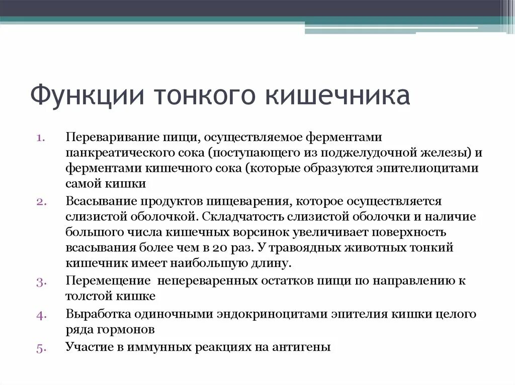 Функции кишечника кратко. Тонкий кишечник функции кратко. функции тонкого кишечника. основная функция тонкого кишечника. функции тонокогокишечника.