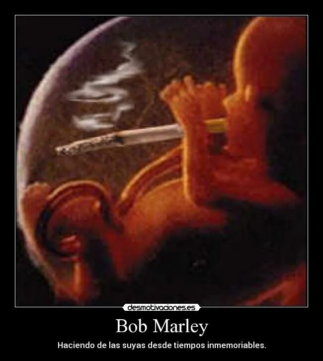 Музыка в утробе матери. Ребенок в утробе курящей матери. Ребенок в утробе матери с сигаретой. Малыш в утробе матери.