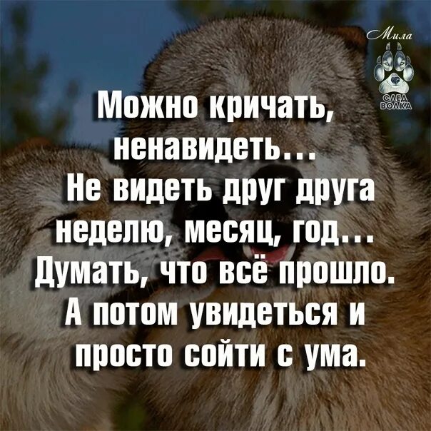 Можно кричать ненавидеть. Можно кричать ненавидеть не видеть друг. Ненавижу друзей. Можно не видеть друг друга.