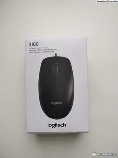 Logitech b100