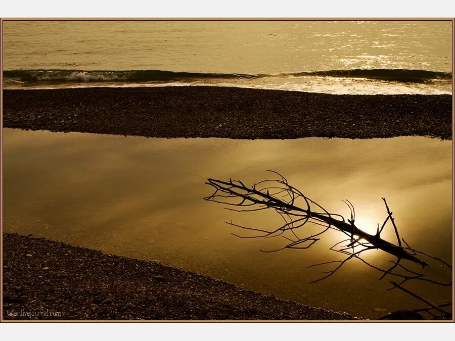 Девушка страдает. Как выглядит тоска. Одиночество души. Тоска природа. Грусть печаль тоска.