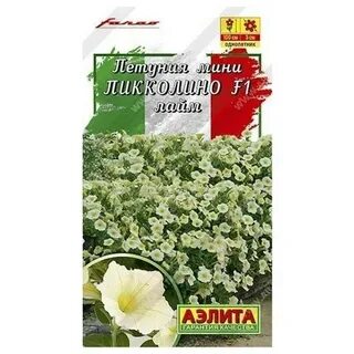 Петуния минибелла отзывы
