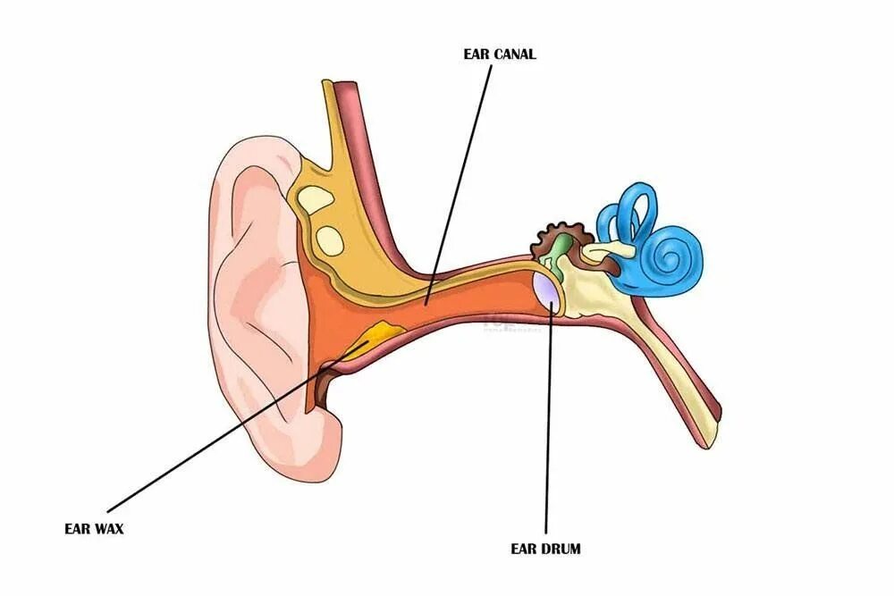 Clean ear. Хлюпает барабанная перепонка в ухе. Наложение турунды в наружный слуховой канал.