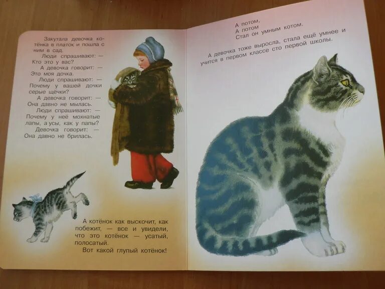Усатый полосатый маршак читать. Стихотворение про глупого котенка. иллюстрация к книге маршака усатый полосатый. вот какой глупый котенок. детская книжка усатый полосатый.