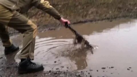 В меня стреляли и в лужу