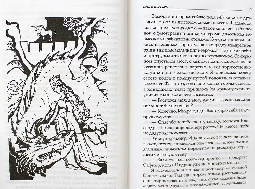 Аудиокнига приключение с макаронами. Книга путь Кассандры или приключения с макаронами. Кассандра книга Вознесенская. Путешествие Кассандры приключения с макаронами.