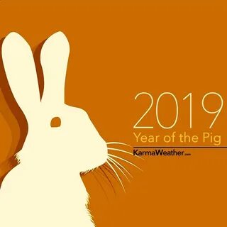 Кролика 2019
