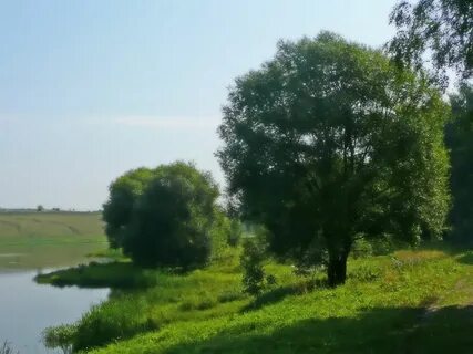 Киреевка