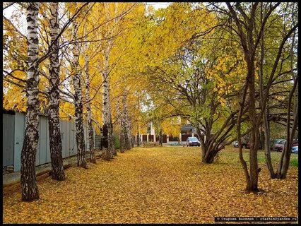 Фото 4 октября