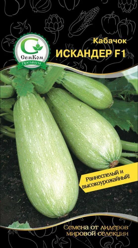 Кабачок арал f1 характеристика. Семена кабачка грибовский белоплодный. Кабачки описание. Кабачок суха f1 (эс). Кабачки цукини семена лучшие сорта для открытого грунта.