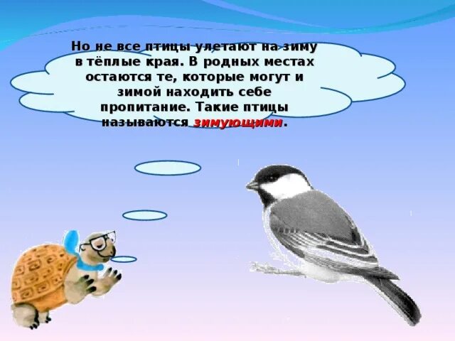 Как зимой помочь птицам 1 класс окружающий. Птицы улетающие зимой в теплые края. улетают в тёплые края на зимовку. какие птицы улетают в тёплые края на зиму. кто улетает в теплые края на зиму.