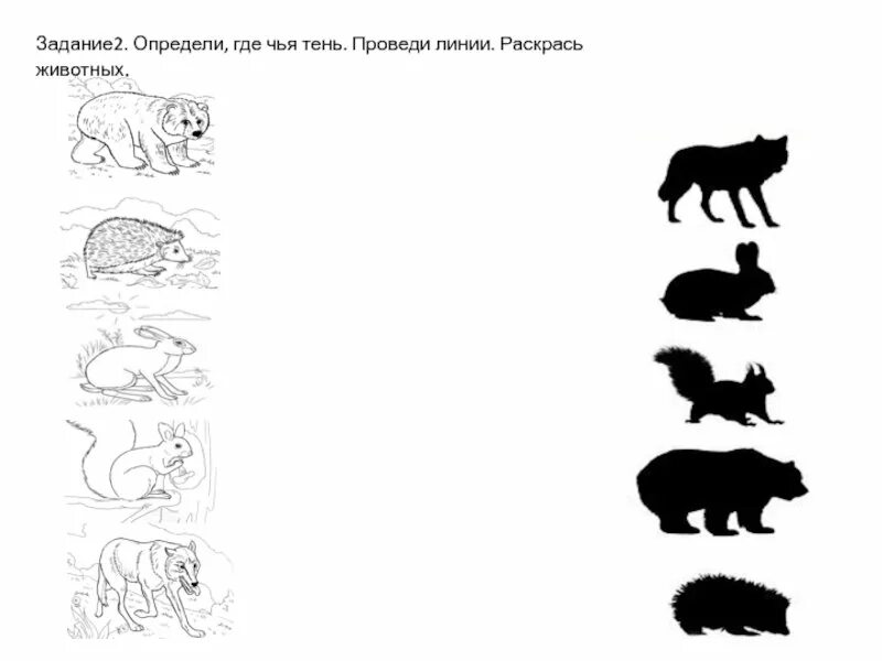 Дикие животные весной задания. Задания с животными для детей. Животные задания для дошкольников. Дикие животные задания для детей. Дикие и домашние животные задания для дошкольников.