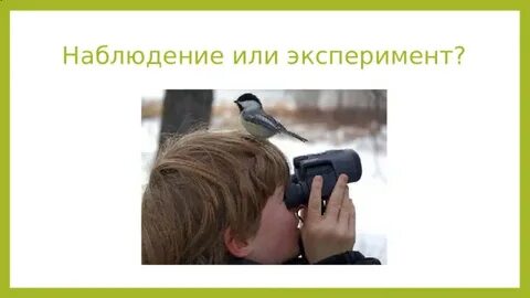 Предложил новый метод изучения природы