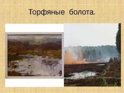 Прочитайте на болотах