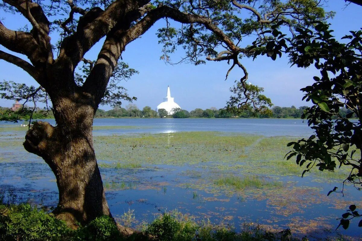 Озера шри ланки. Анурадхапура Шри. Anuradhapura Sri Lanka. Озеро Шри Ланка. Пляжи Анурадхапура Шри Ланка.