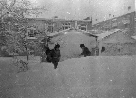 Февраль 1984 года