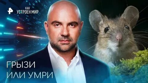 Как устроен мир с баженовым 2024