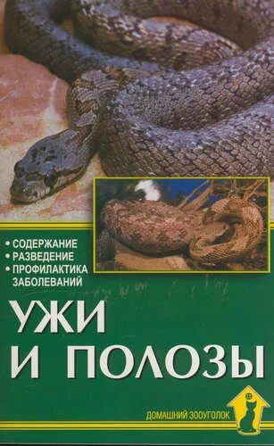 Полоз книги. Книга домашний зооуголок. Книги про Полоза. Книжка про ужей. Ужи.