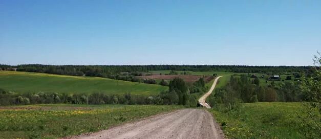 Ермаковское ярославская область. Ермаковское ярославская область. Свято геннадиев монастырь ярославская область. Деревня обнорское ярославская область\. Ермаковское ярославская область.