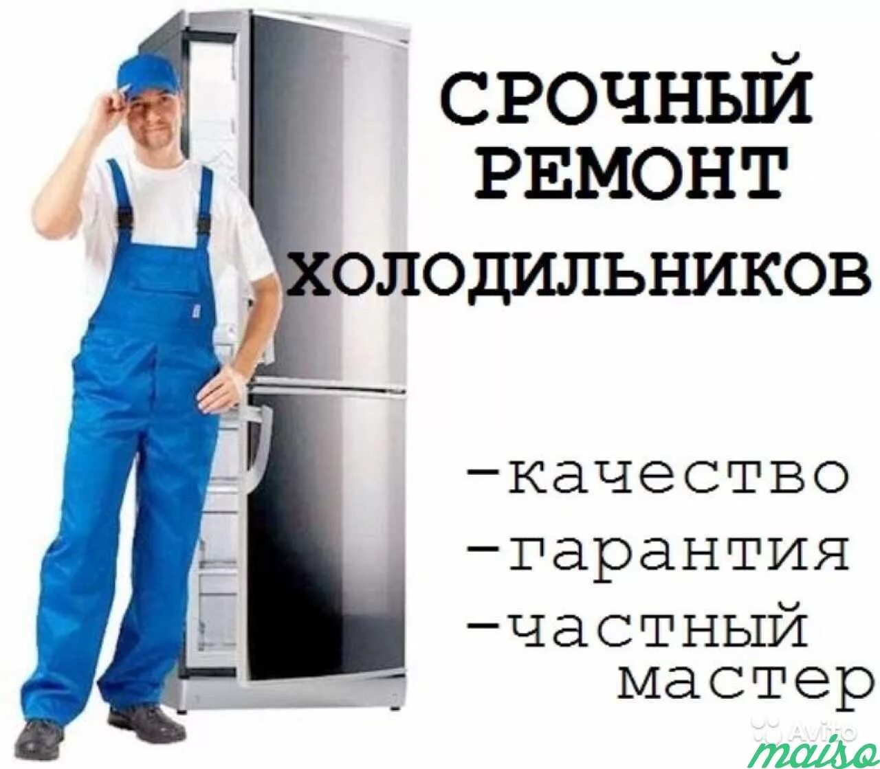 Мастер холодильников. Ремонт холодильников реклама. Мастер по ремонту холодильников. Ремонт холодильников частный мастер недорого