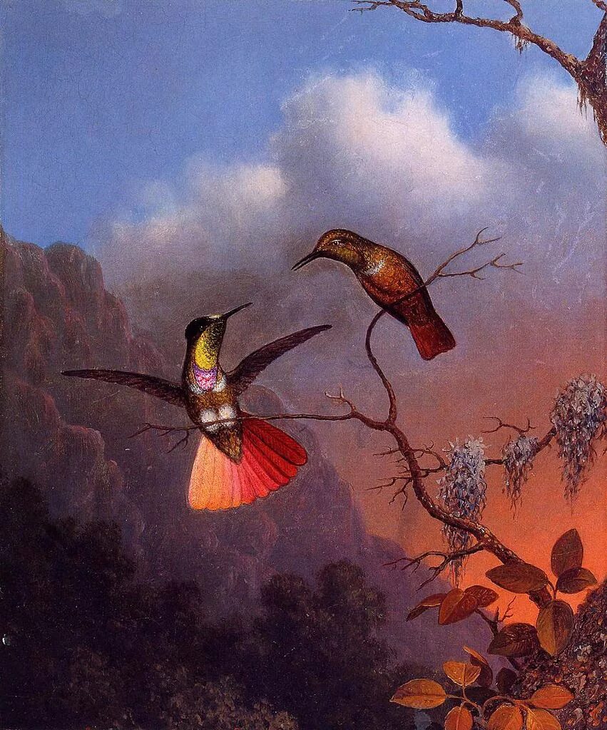 O bird. Martin Johnson heade художник.