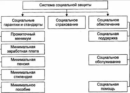 1 социальная защита определение