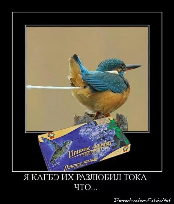 Птичье молоко мем. Птичье молоко прикол. Реакция иностранцев на конфеты птичье. Птичье молоко доят. Птичье молоко из птиц.