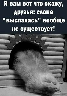 Слово высыпаться