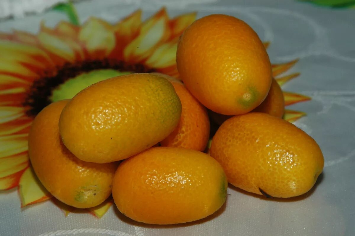 большой цитрусовый фрукт. китайский мандарин цитрус. китайские цитрусовые фрукты. китайский цитрус. китайский апельсинчик.